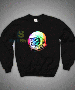 Get It Now Astronaut Space Cat Sweatshirt - Brillshirt.com